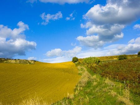 field