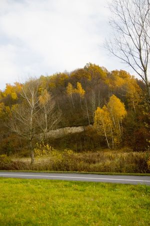 kazimierzの写真素材