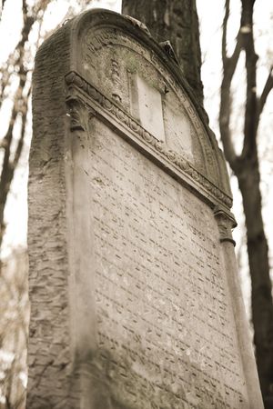 the tombの写真素材