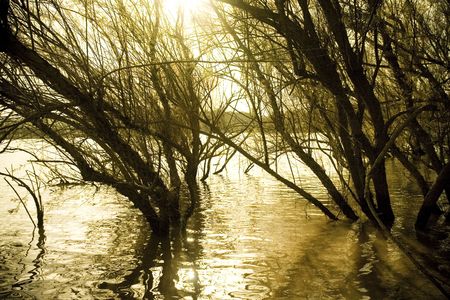 lake