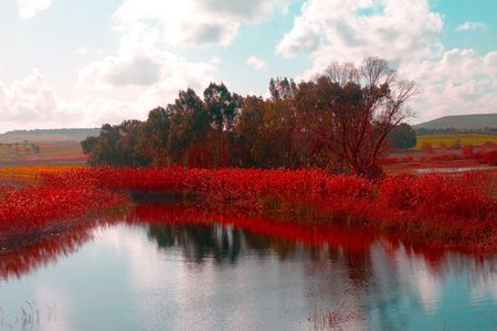 lakeの写真素材