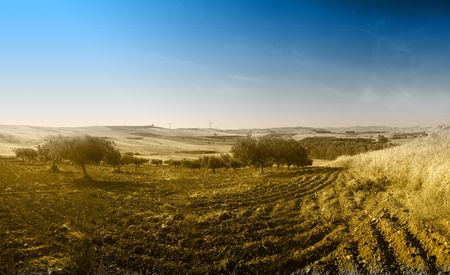 land