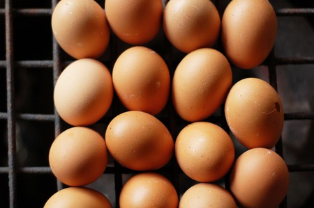 Eggs in a tray