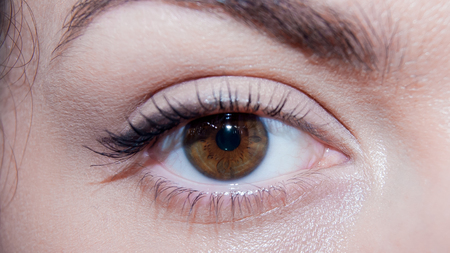 Close up photo of a brown eye with natural make up and eyelines of a female womanの写真素材