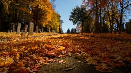 Beautiful tomb graves in the cemetery during the fall autumn season. Many orange leaves in the groundの写真素材