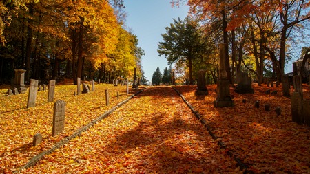 Old cemetery landscape during the autum fall halloween covered in beautiful colorful maple leaves....