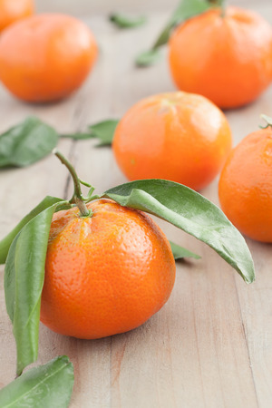 tangerinesの写真素材