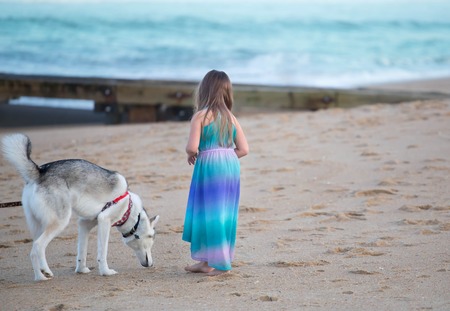 little girl wearing a blue dress walking her dog on a beachの写真素材