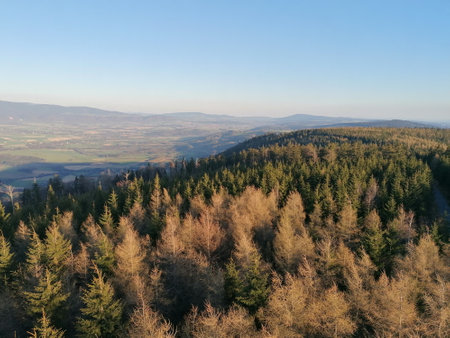 Aerial view of autumn forest. View from the top of the mountain.の写真素材