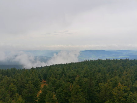 Mountain landscape with fog and coniferous forest on a cloudy dayの写真素材