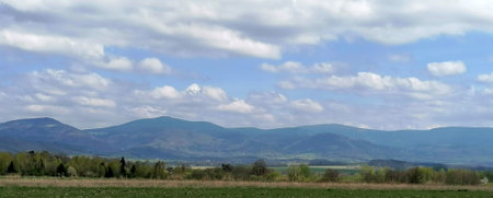 Panoramic view of the meadow and mountains in the backgroundの写真素材