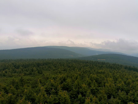 Aerial view of a forest in the Carpathian Mountains.の写真素材