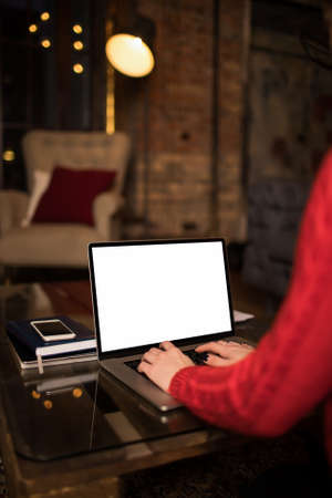 View from behind of a woman blogger using portable pc laptop computer with empty mock up copy space...
