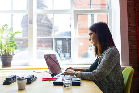 Female in glasses skilled content creator using applications on pc laptop computer while sitting at desktop against big office window with copy space for promotional content. Blogger typing articleの写真素材