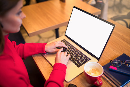 Female online store manager working on laptop computer with copy space for advertising text message.の写真素材