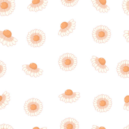 Seamless botanical ornament pattern with autumn daisies in pastel colors isolated on white background in flat cartoon style.の写真素材