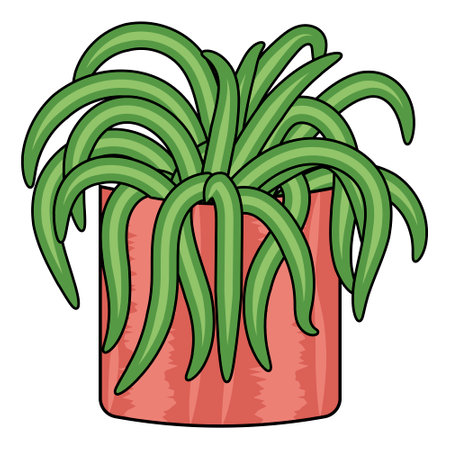 Green chlorophytum plant in the pink pot in flat doodle styleのイラスト素材