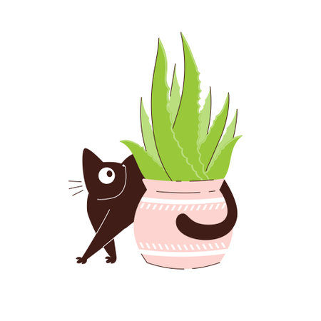 Curious black cat walks around a flower pot. Pets and potted plants in potsのイラスト素材