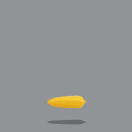 Maize corn cob with shadow on trendy square grey backgroundの写真素材