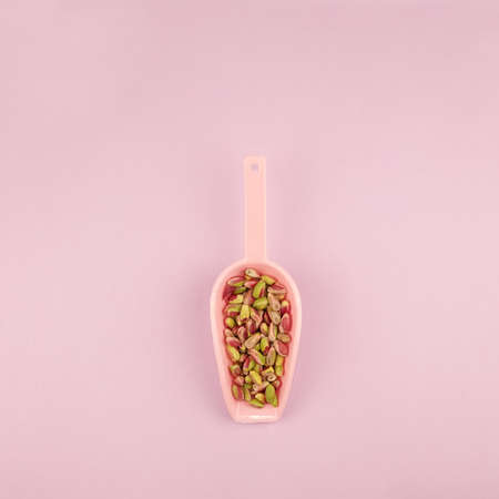 Pistachios peeled kernels in pink measuring spoon on square pink backgroundの写真素材