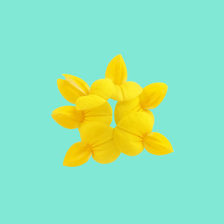 Yellow flower organic alien shape on bright green square background. Trendy minimal abstract...