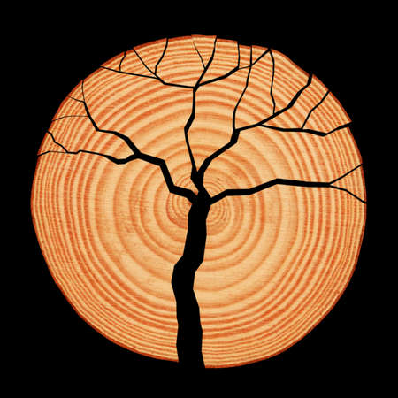 Rings on wooden log cross section with symbolic dead tree silhouette crack on black background. Natural wood forest deforestation concept idea. Environment problem ecology abstract pictureの写真素材