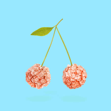 Floral balls Viburnum opulus guelder rose flowers in shape of cherry with leaf. Cherries concept...