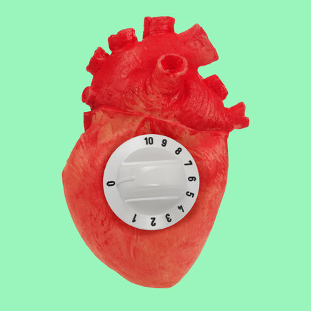 Abstract organic organ human heart with cooker control knob hot temperature on it. Love emotional heart in love conceptの写真素材