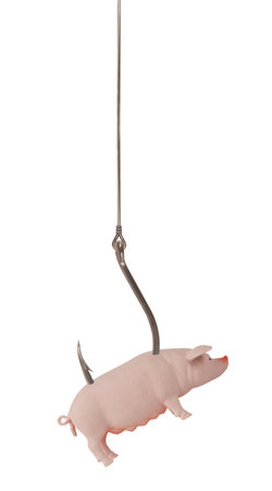 Pig pork on fishing hook. Fat food concept isolated on white background. Addiction trap ideaの写真素材