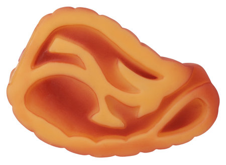 Rubber toy for pets dogs shaped as pork chop rib eye steak peace of meat. Toys for pet dog conceptの写真素材