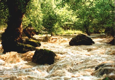 Floodの写真素材