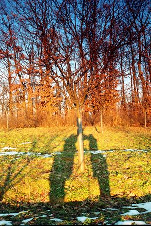 shaddowの写真素材