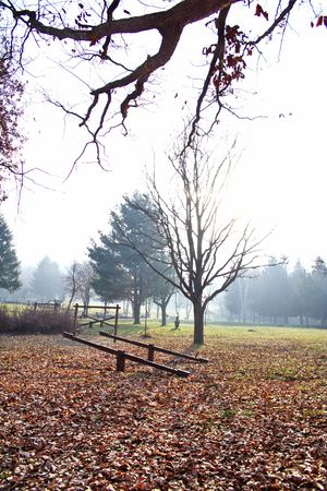 Seesawsの写真素材