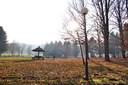 Autumn in the parkの写真素材
