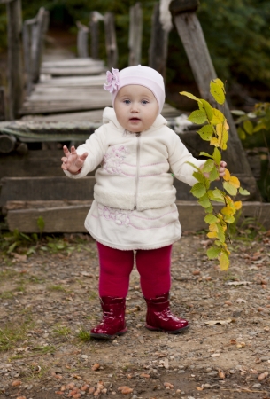 little girlの写真素材