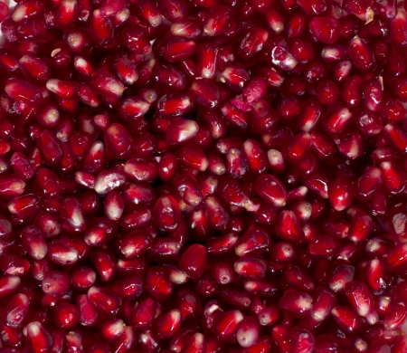 Fresh pomegranate seedsの写真素材