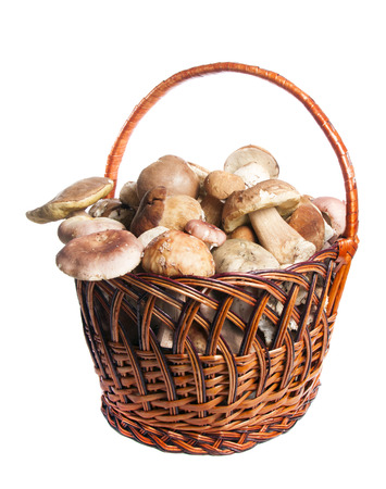 basket of mushrooms on a white backgroundの写真素材