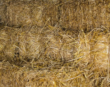 bales of hay close-up as background