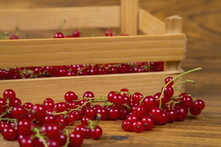 red currants in a box on wooden tableの写真素材
