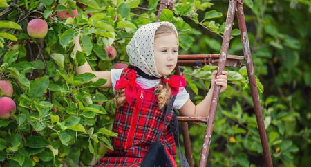 Girl in the garden ripping applesの写真素材