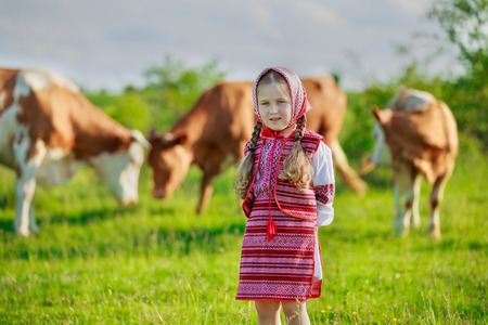 little girl tending cows on pastureの写真素材