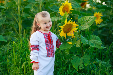 little girl on the field with blooming sunflowersの写真素材