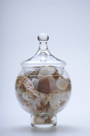 Glass bulb with shellsの写真素材