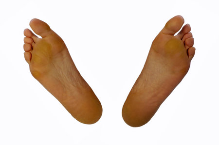 female feet on a white background