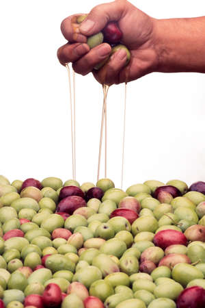 A handful of olives with oil pouring on a white backgroundの写真素材