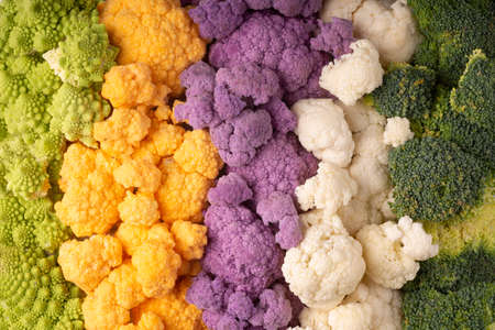 colorful cauliflowersの写真素材