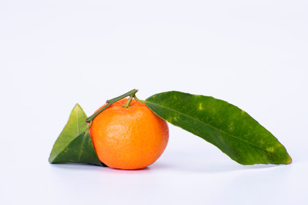 Ripe tangerine with green leaves on a white background.の写真素材