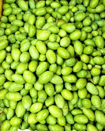 Pile of fresh mature green Sicilian olives from Italy ready to be pressed for tasty olives oil.  Sicily.の写真素材