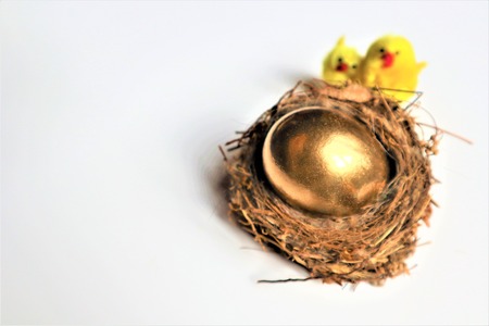 Golden Easter egg and chickens with copy space for text on a white background