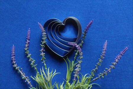 many hearts and lavender flowers  in trendy color of year 2020 on classic blue background. Copy space.の写真素材